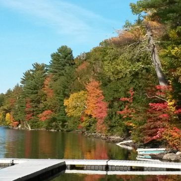 Fall Work Day
