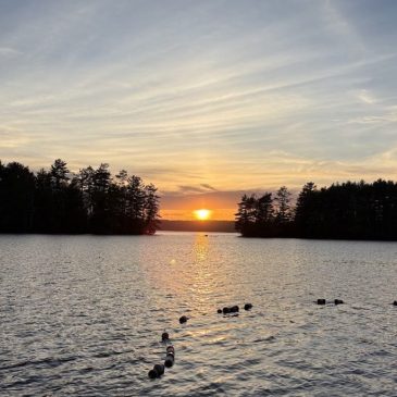 Our Whole Lives (OWL): Elementary-Level Facilitator Training